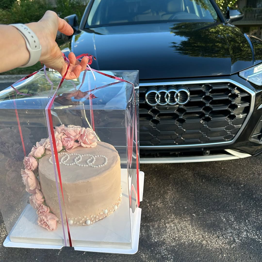 Blush Rose Audi Cake